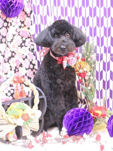 20250126アロちゃん